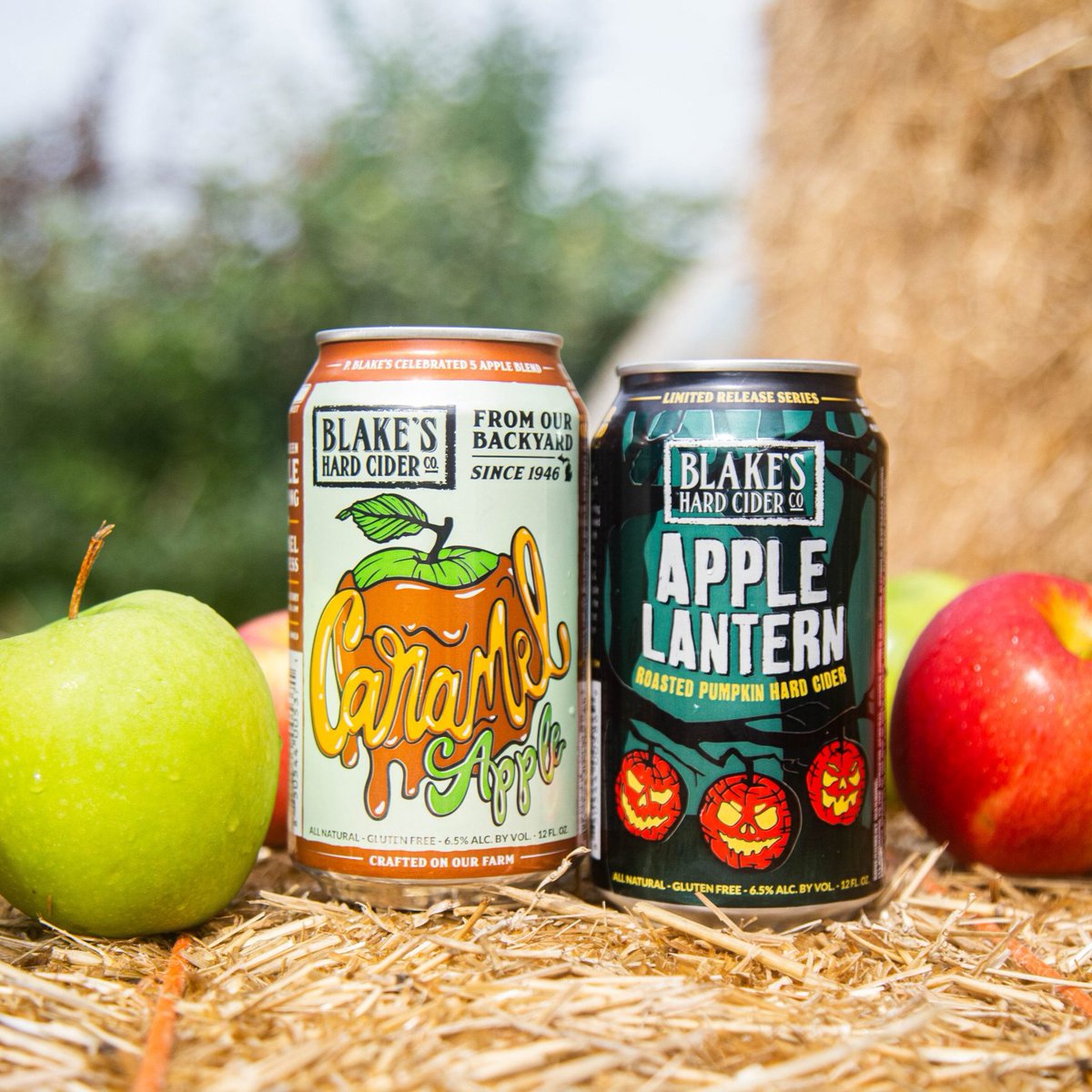 Charleston Beer Fest tweet media