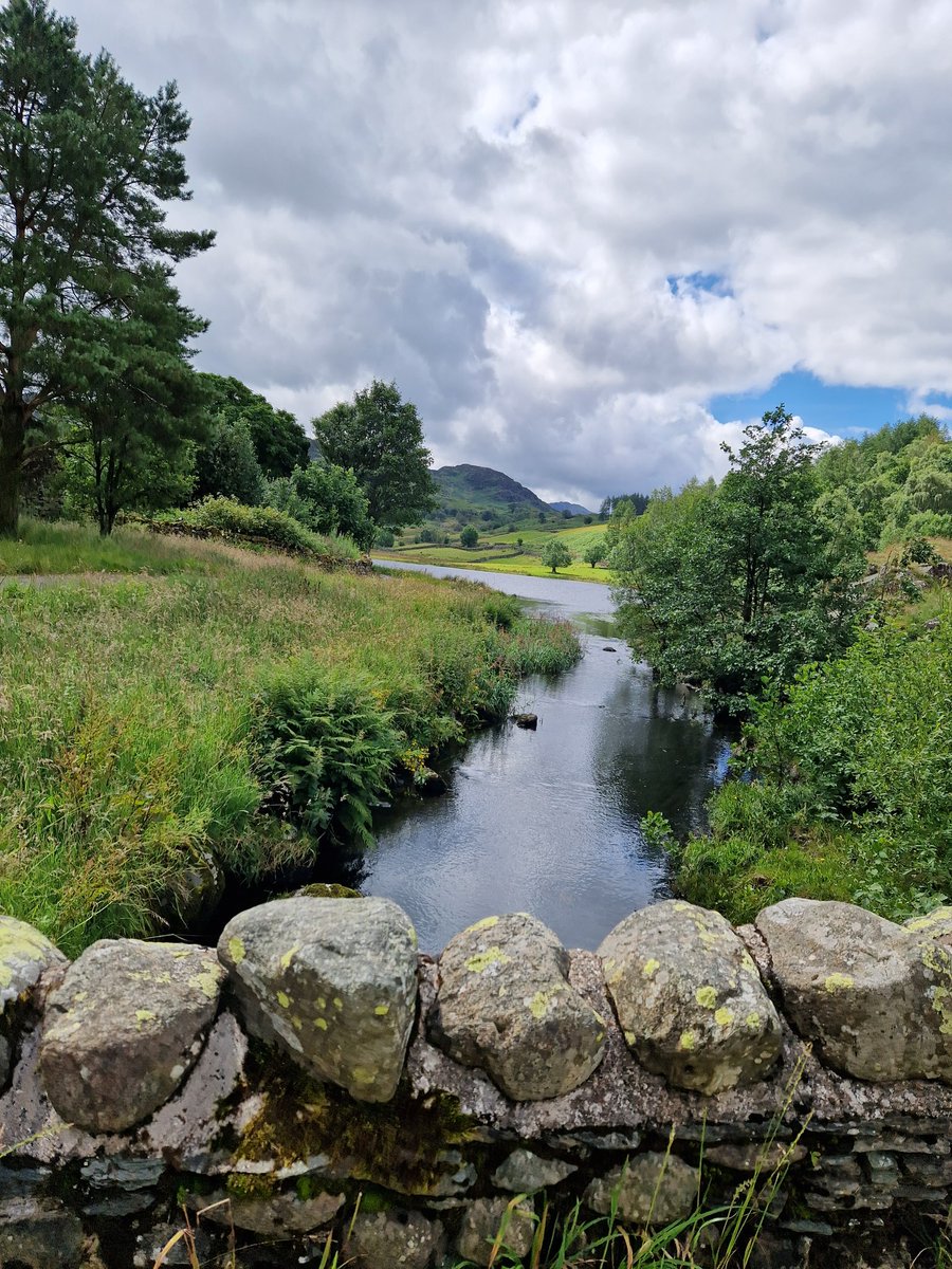 DAOSdofe's tweet image. DAOS GOLD Day 2
This was a long day for the Gold students, but all did really well. They ended their day very tired and experiencing their first wild camp. A great day!