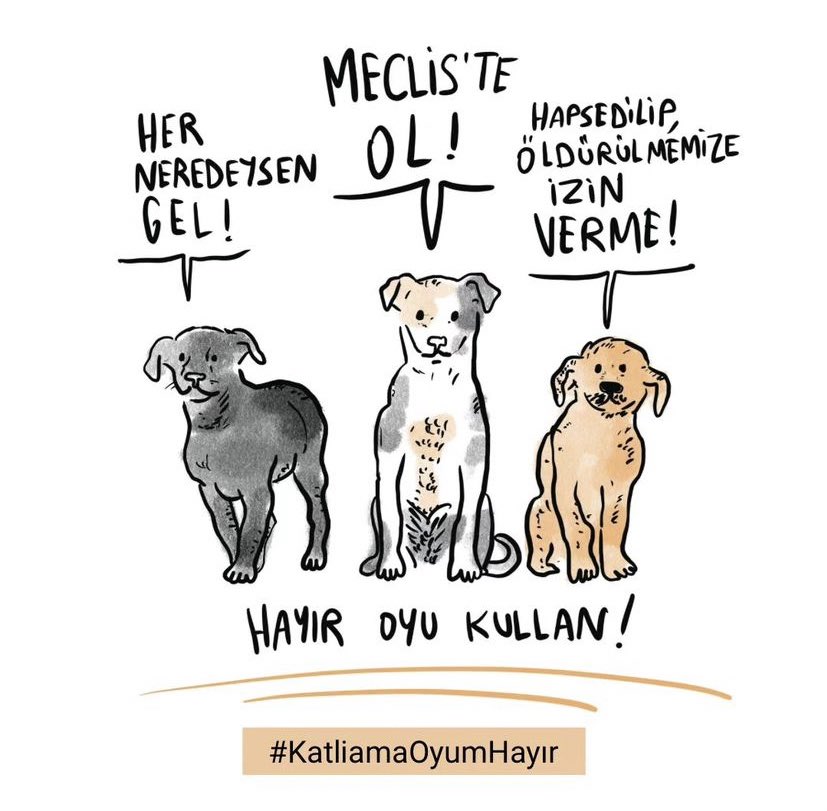 docs.google.com/document/d/1eV…
#KatliamaOyumHayır