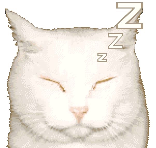 Kitty archives ♡ (@puppierz) on Twitter photo 