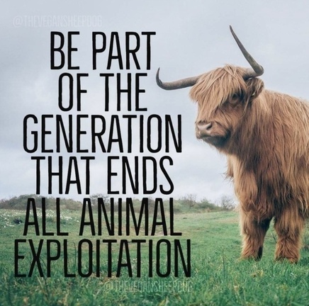 Vegan Future (@veganfuture) on Twitter photo 