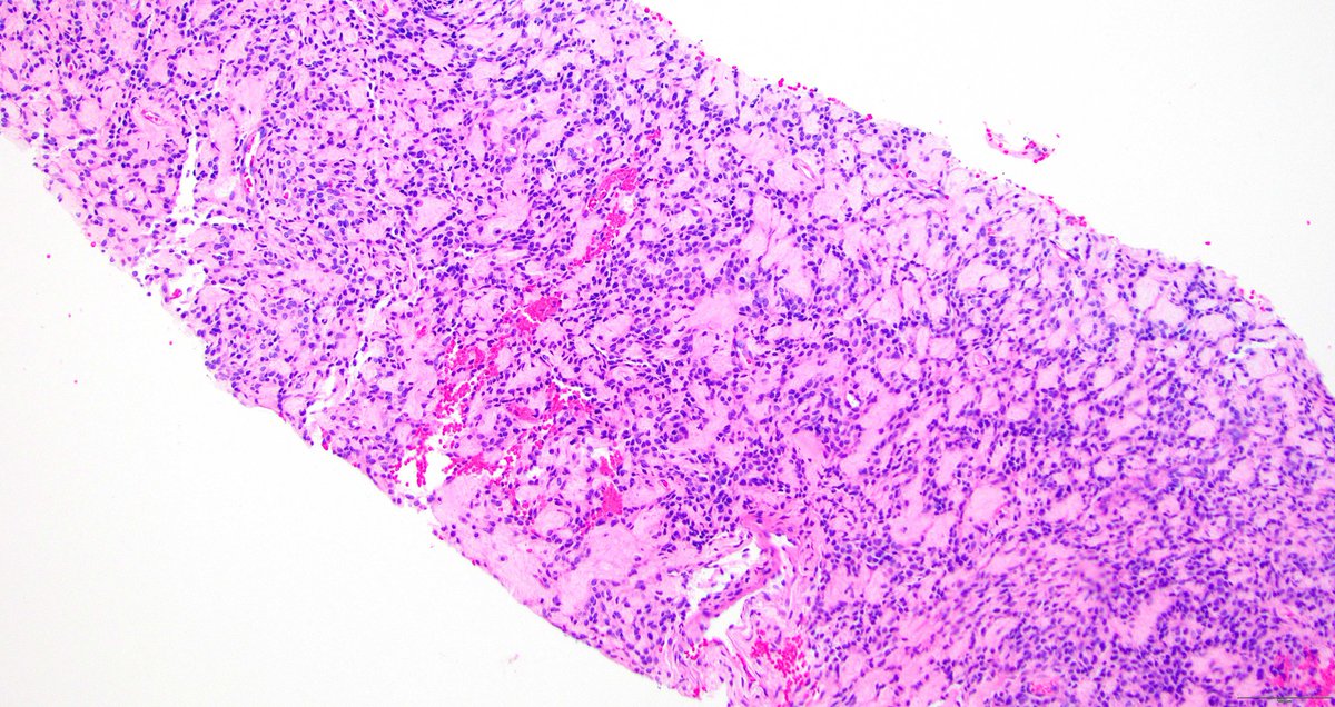 Zehra Ordulu 🧬🔬 tweet media