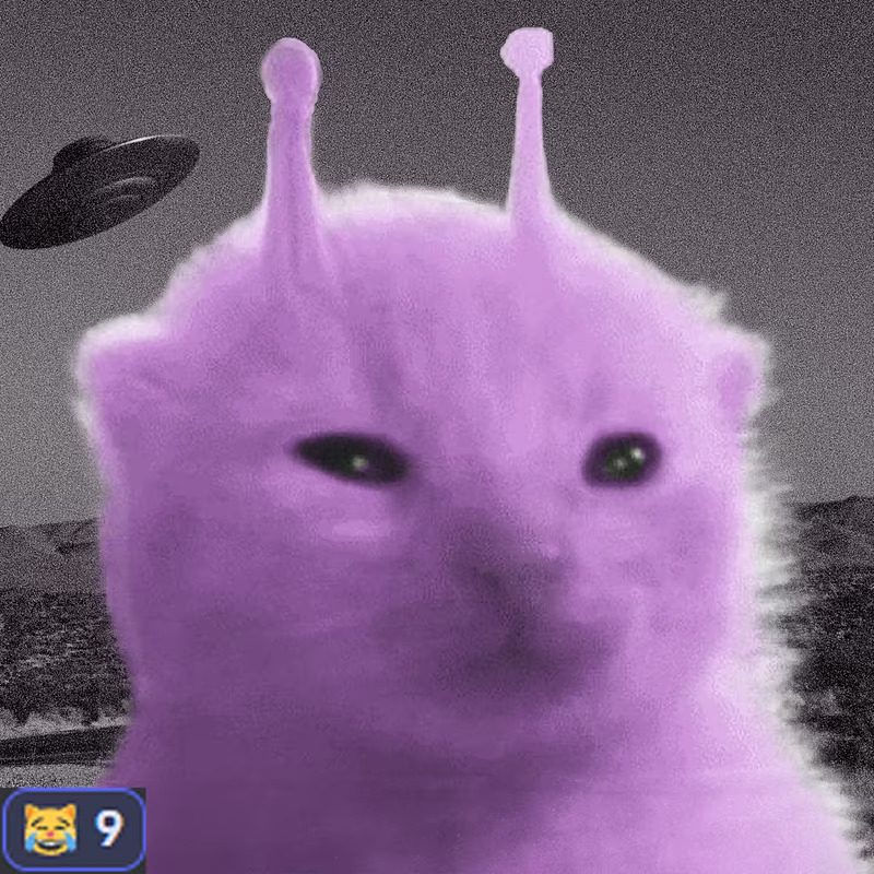 GLEUPR <a href="/glorpcatsol/">glorp</a>