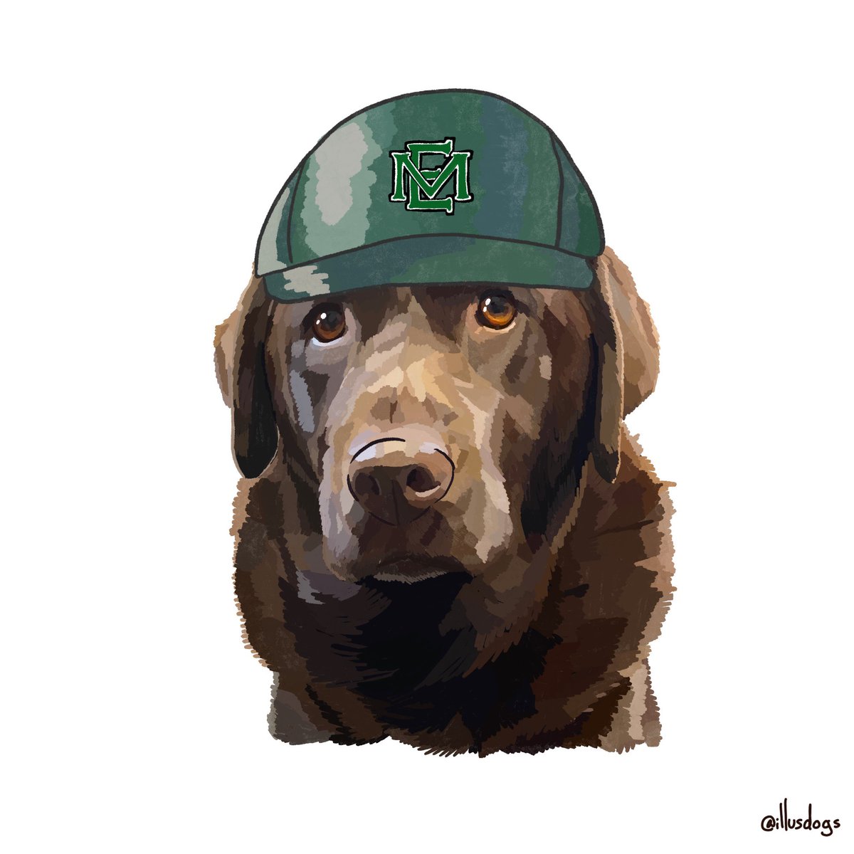 Illustrated Dogs tweet media