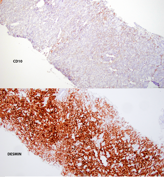 Zehra Ordulu 🧬🔬 tweet media