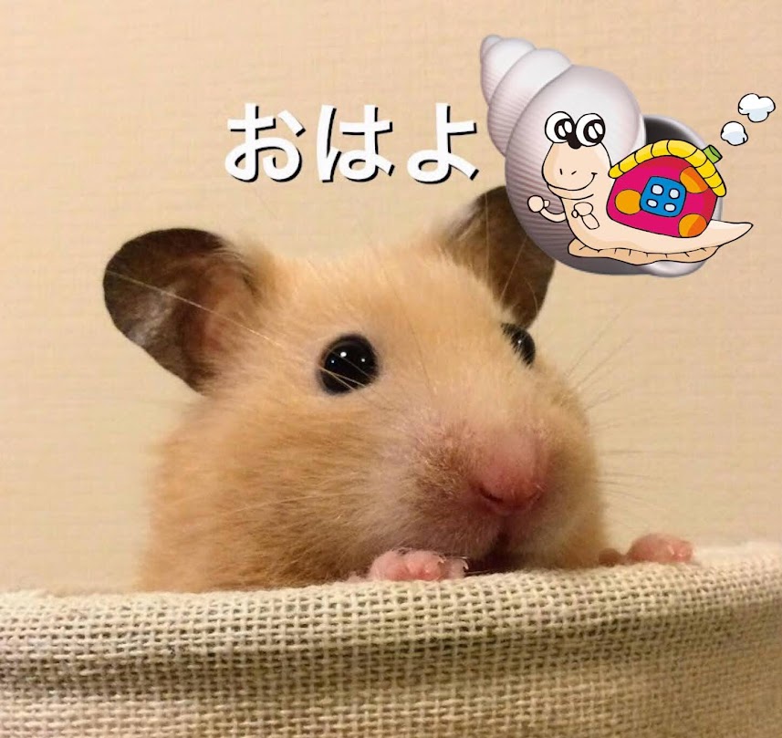 toskalt8513's tweet photo. おはようございます😀
今日も元気に宜しくお願いします🍀💐
7月18日は？ #ホタテの日 🐚ホを分解すると「十」と「八」🤭あと #ミールキットの日 🍱🧑‍🍳で #防犯の日 🔐しっかり戸締りしたらホタテバター食べる日だね😋
それでは、皆さん素敵な1日を✨💕
https://t.co/vKHuMCzQu1 https://t.co/plJMEzYwAf