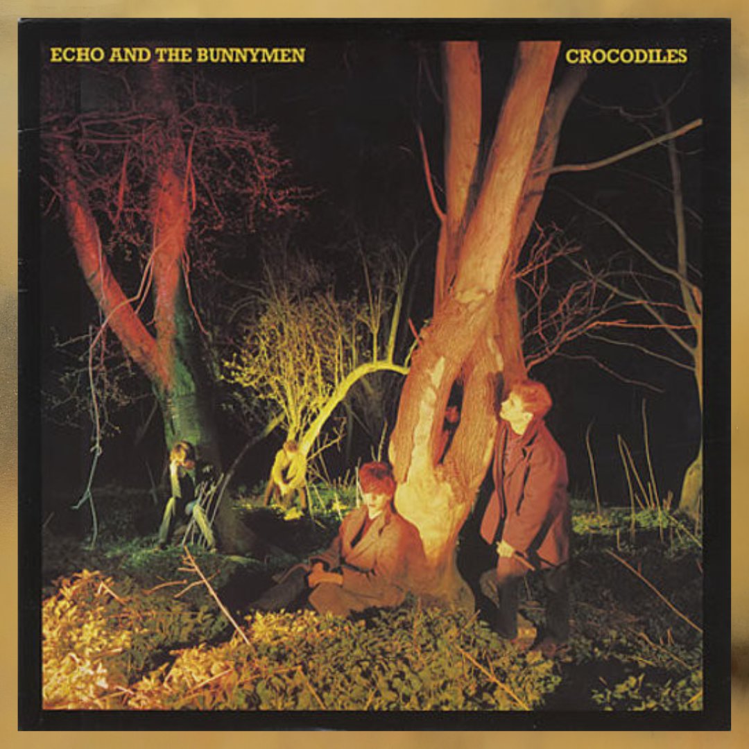 Echo & the Bunnymen tweet media