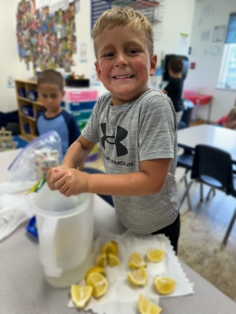 kerra3's tweet image. 🍋Our school-agers made lemonade today! They enjoyed squeezing the lemons themselves and having a tasty drink to help quench their thirst on this hot, summer day! Cheers!🍋

#freshlemonade #beattheheat #wonderoflearning #summercamp #goddardschool #goddardschoolmason...