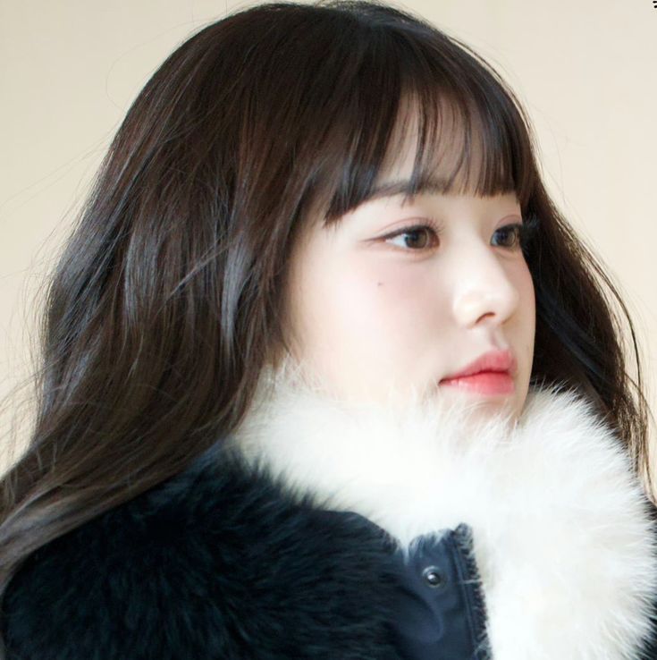 hourly wonyoung tweet media