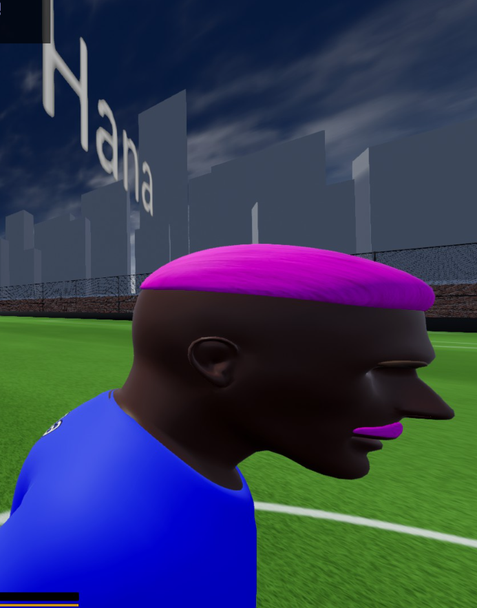 Estaba jugando con mis amigos y se metio este n*gro raro en el partido. No atajaba una. Alguno lo conoce? Así lo llamo para putearlo