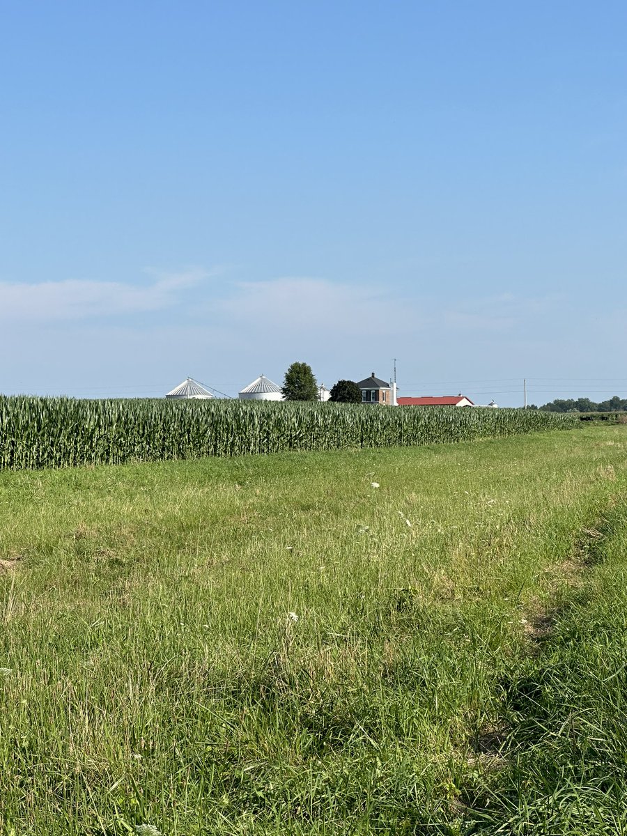 Gone for a couple days for mtgs and come back to this. 145# of N applied maybe 5-7# more N left to apply. Corn looking like a million bucks.