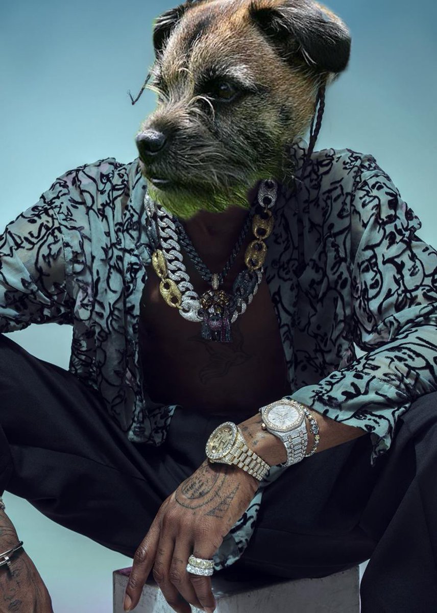 Fade_Dilara's tweet photo. @barkmeta Check $ROLEX

The drippiest Dog on Solana 

CA: 4XKf2HoHkyqd96g7dqE2eXjYM1Uq8HjznaToozyhpump

https://t.co/rn3VMi0LxR https://t.co/aJG8amrUdF