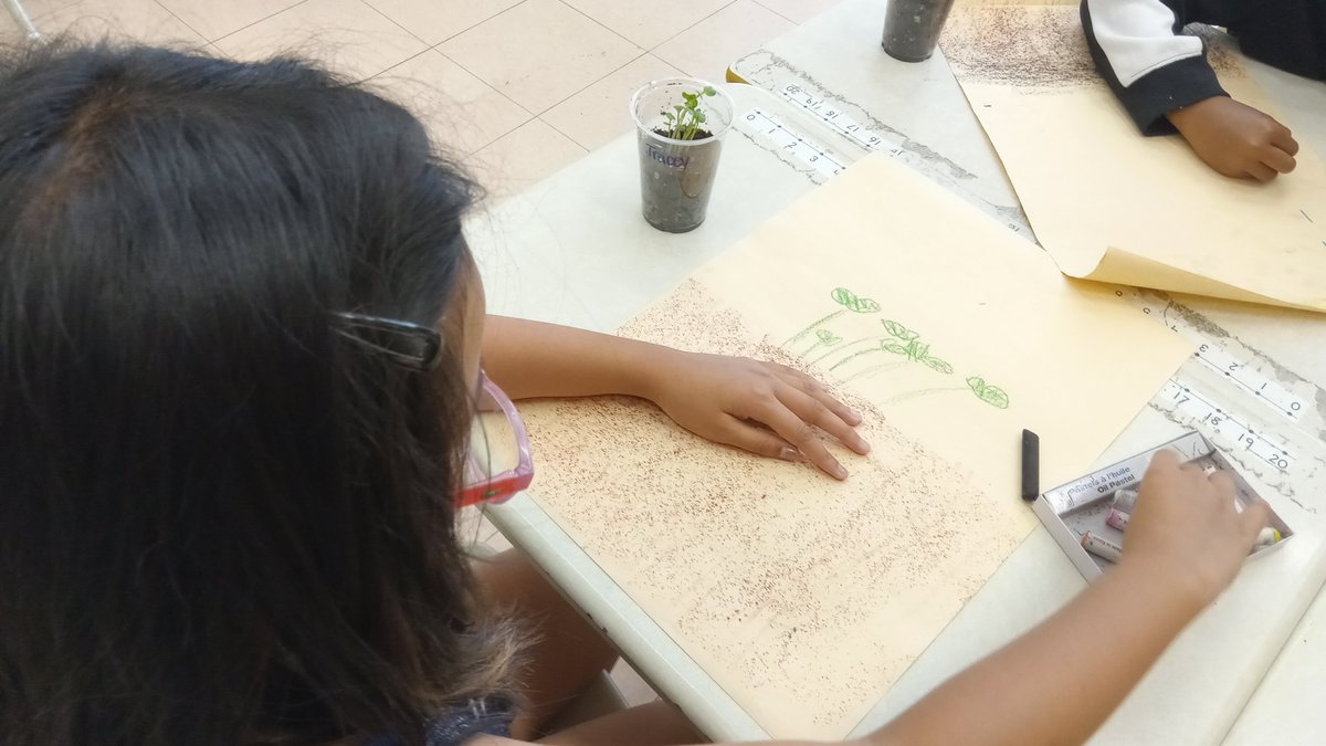 SelbieFuller's tweet photo. Learning about living things through a plant inquiry. #whatareradishes? #life cycle #watercycle. Fun &amp; learning through trial &amp; error as our first attempt to germinate failed! Building resiliency #lifelonglearners #sustainability @TCDSBSummerLrn @KerrEteach @KristyannSo @MsCRoti https://t.co/MqopcFaG9g