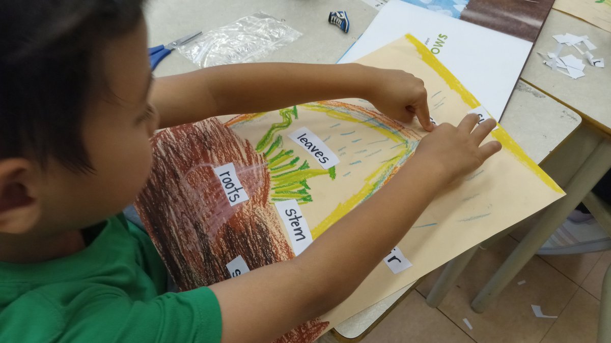 SelbieFuller's tweet photo. Learning about living things through a plant inquiry. #whatareradishes? #life cycle #watercycle. Fun &amp; learning through trial &amp; error as our first attempt to germinate failed! Building resiliency #lifelonglearners #sustainability @TCDSBSummerLrn @KerrEteach @KristyannSo @MsCRoti https://t.co/MqopcFaG9g