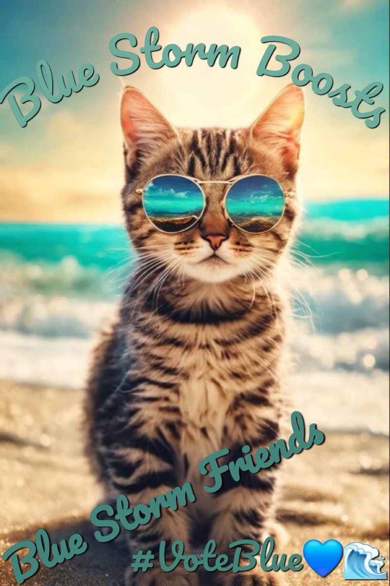 BlueStormComin1's tweet image. #PetsForBiden🐾💙

Let’s see pet photos! This is a meet up!

#CatsOfTwitter #DogsOfTwitter
#IHateProject2025 #NoDemUnder5k