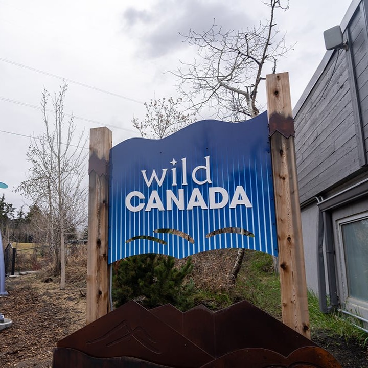 Wildlife Trafficking Alliance tweet media