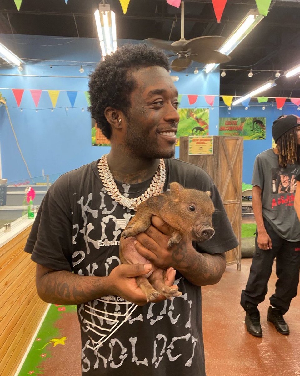 uziawge's tweet photo. Lil Uzi Vert’s new pet pig 🐖 https://t.co/ye0wmLMME6