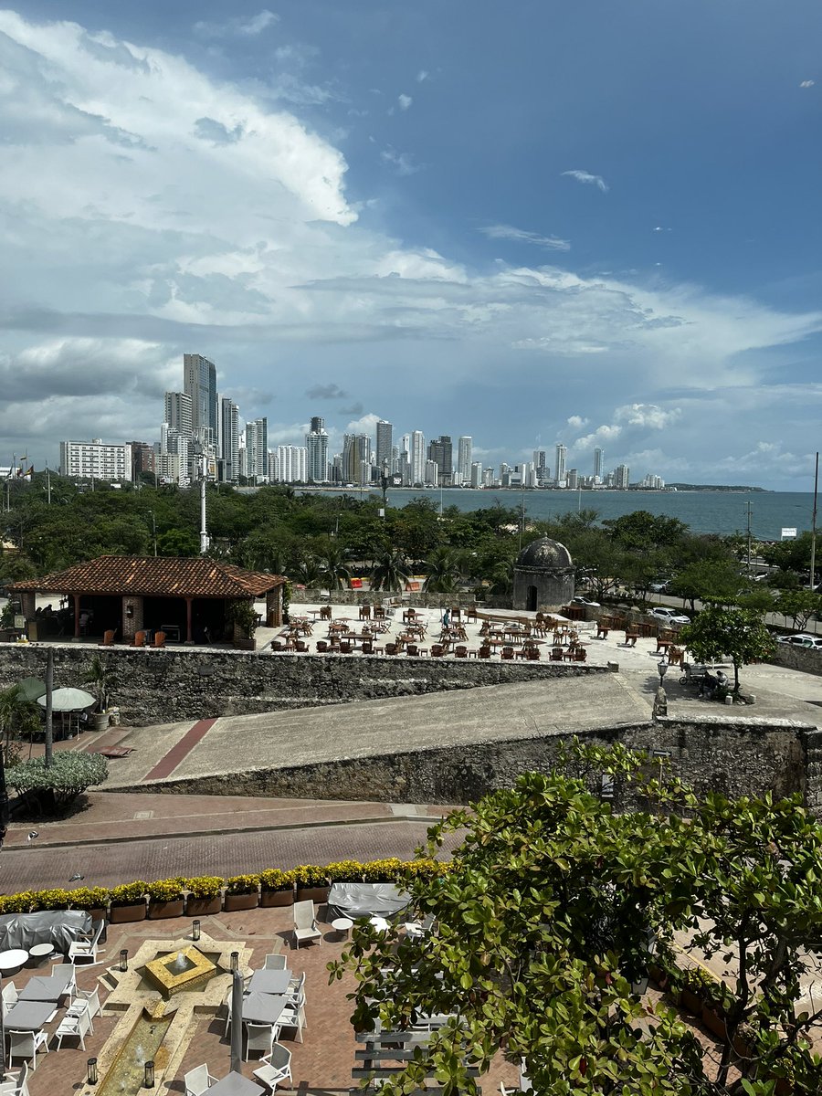 Matt Handle tweet media