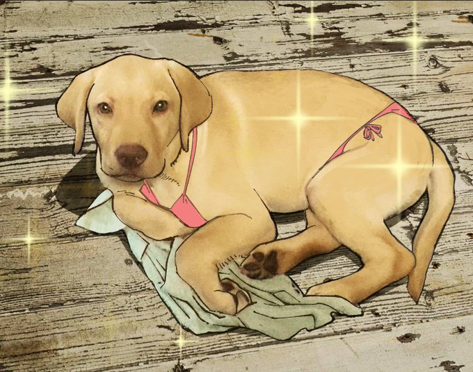 うちの子も最近マイクロビキニつけました! 