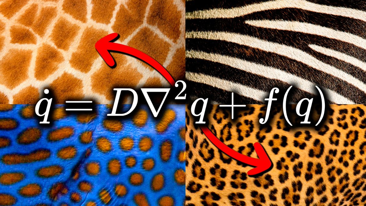 RandoCode's tweet image. He subido video 🤙youtu.be/9GeQzy5vAsU?si…