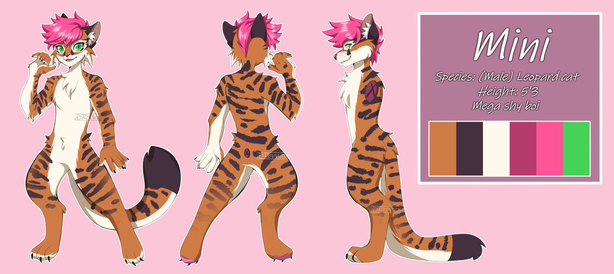 Mini💕 tweet media