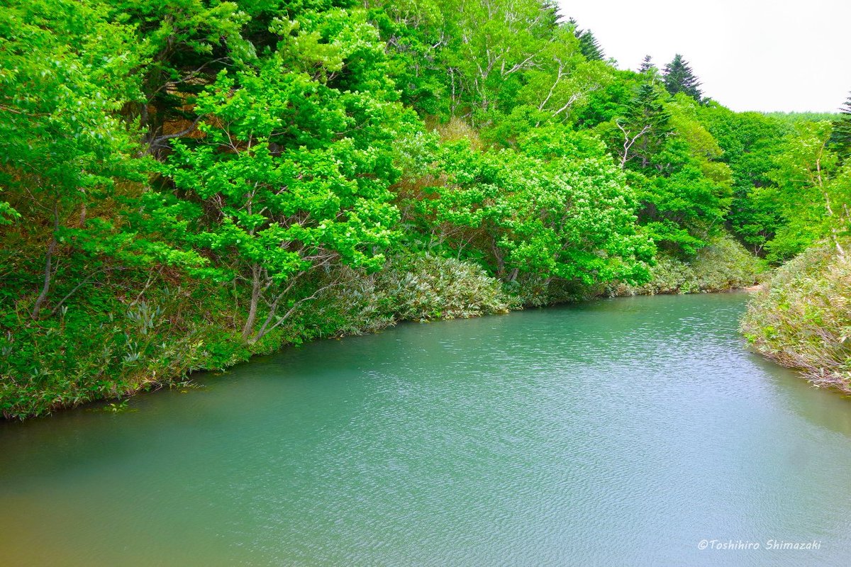 ポラリス・ネイチャーガイズ Polaris Nature Guides【公式】 on X