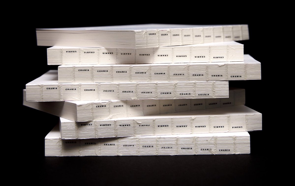 Letra Muerta Inc. tweet media