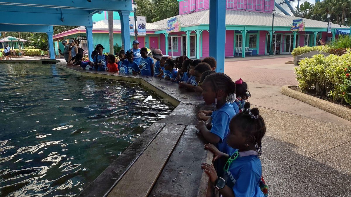 NES_Afterschool's tweet photo. We have come to the last week of Panther camp but we're keeping the campers engaged with fun learning experiences like our trip to Seaworld and the Digital Vibez Jamathon!  
@PrimeTimePBC  @NorthmoreElem 
@DigitalVibezInc @ExtLrngSDPBC https://t.co/jSyAwSfXfI