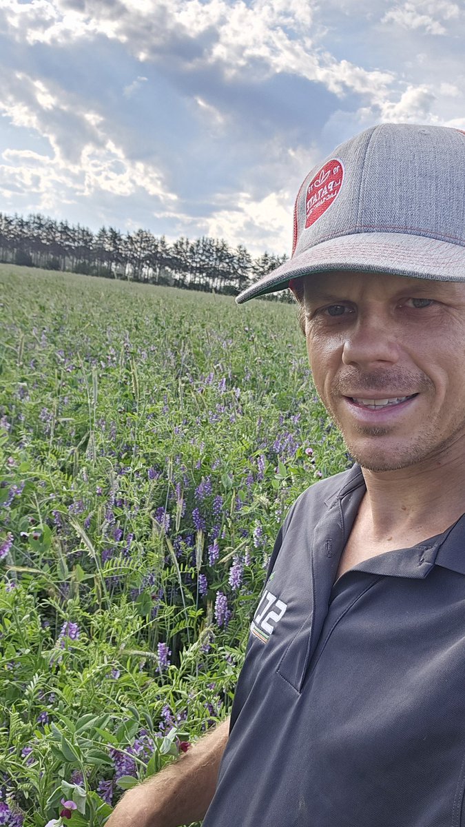Retour des vers de terre dans la production de pomme de terre grâce aux concepts de scv agrologie!! Le carbone acteur clé de la chaîne alimentaire du sol