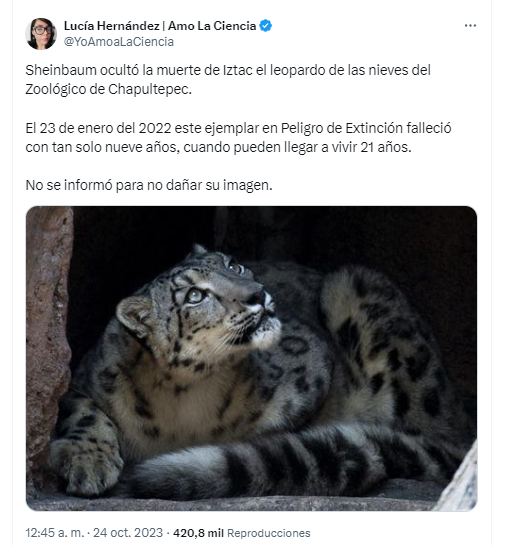 YoAmoaLaCiencia's tweet photo. ¿Qué tal si los nombran como alguno de los animales que han muerto por negligencia durante el gobierno de Sheinbaum-Batres?

¿Qué tal el nombre de Iztac como el leopardo de las nieves que murió por "choque"? 

Pero su seguro superó el millón y medio de pesos.

Los podrían nombrar Mithril o Marqués como los linces que dejaron morir por falta de medicamentos.

Que le pongan el nombre de Chacho como la jirafa que sufrió una lesión severa en su cuello y la dejaron morir.

Tleyot, el águila real a la que no le atendieron una infección.

Pueden usar los nombres de Totopilatzin, Tencoztic, Tlahuilli o Xiutalli porque se les han muerto tantos ajolotes que ya ni se molestan en nombrarlos o registrarlos.

Que le pongan el nombre de Toto porque se le negó la oportunidad de ir a un santuario y todos los responsables del sufrimiento de ese orangután están impunes.

Bianca, como la  hipopótamo que no trataron de cáncer y a la que Sheinbaum le negó el traslado a un santuario.

Como a Ely.

La mayoría de los animales en los zoológicos capitalinos no tienen nombre y son reemplazados, principalmente las aves y los reptiles que no importa cuándo mueran porque traerán otro.

Que le pongan Seje, ya que solo están esperando a que muera.