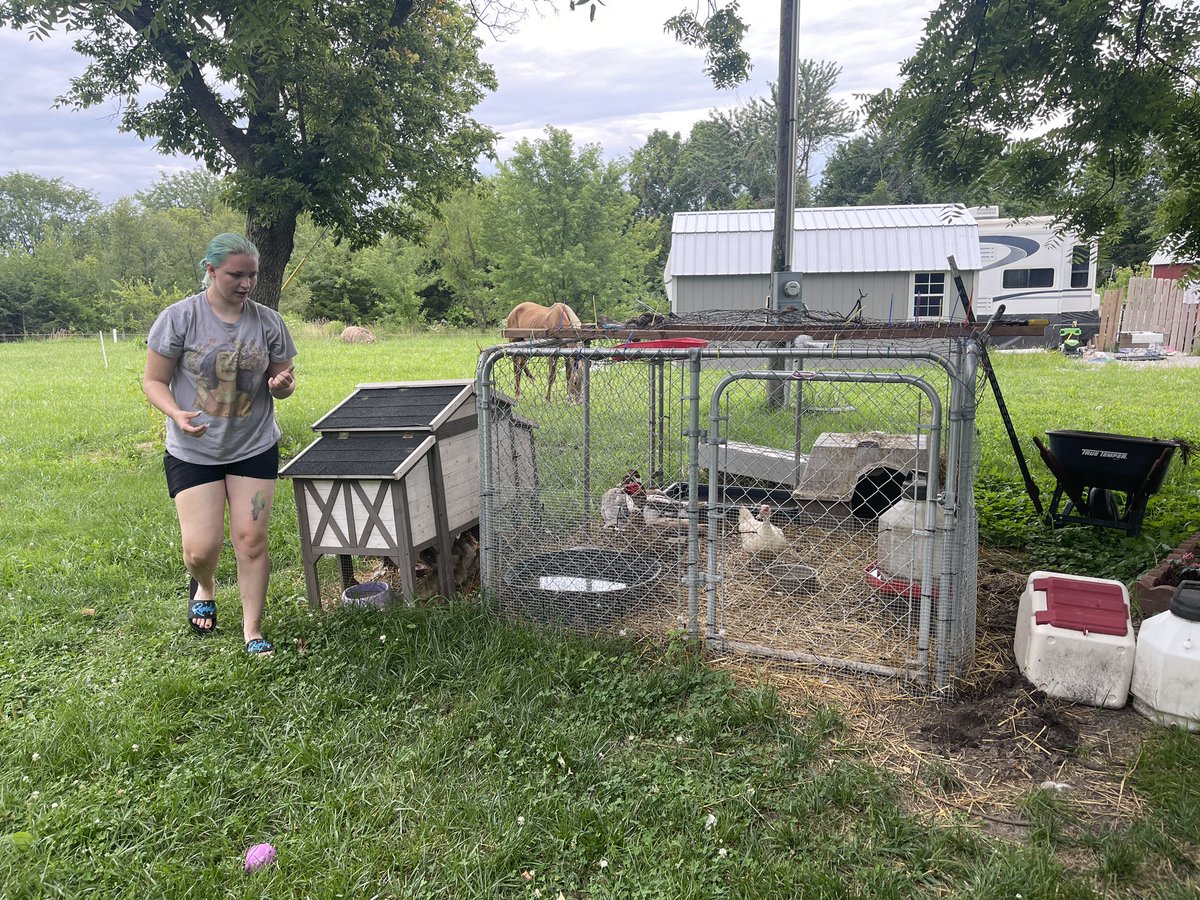 SAE Spotlight 🌪️ Jackie Plisowski is a Senior whose SAE Project consists of her raising and selling duck eggs in addition to helping with a Great Dane breeding operation
