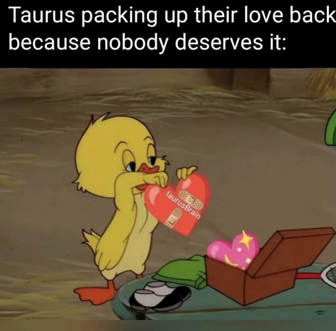 taurusismagic's tweet photo. See ya when I see ya… https://t.co/Ma16xcdWuF
