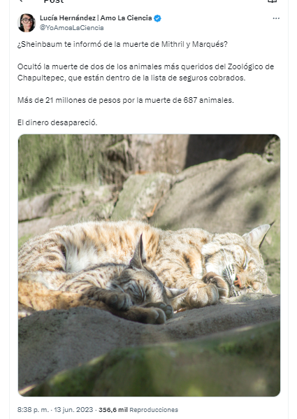 YoAmoaLaCiencia's tweet photo. ¿Qué tal si los nombran como alguno de los animales que han muerto por negligencia durante el gobierno de Sheinbaum-Batres?

¿Qué tal el nombre de Iztac como el leopardo de las nieves que murió por "choque"? 

Pero su seguro superó el millón y medio de pesos.

Los podrían nombrar Mithril o Marqués como los linces que dejaron morir por falta de medicamentos.

Que le pongan el nombre de Chacho como la jirafa que sufrió una lesión severa en su cuello y la dejaron morir.

Tleyot, el águila real a la que no le atendieron una infección.

Pueden usar los nombres de Totopilatzin, Tencoztic, Tlahuilli o Xiutalli porque se les han muerto tantos ajolotes que ya ni se molestan en nombrarlos o registrarlos.

Que le pongan el nombre de Toto porque se le negó la oportunidad de ir a un santuario y todos los responsables del sufrimiento de ese orangután están impunes.

Bianca, como la  hipopótamo que no trataron de cáncer y a la que Sheinbaum le negó el traslado a un santuario.

Como a Ely.

La mayoría de los animales en los zoológicos capitalinos no tienen nombre y son reemplazados, principalmente las aves y los reptiles que no importa cuándo mueran porque traerán otro.

Que le pongan Seje, ya que solo están esperando a que muera.