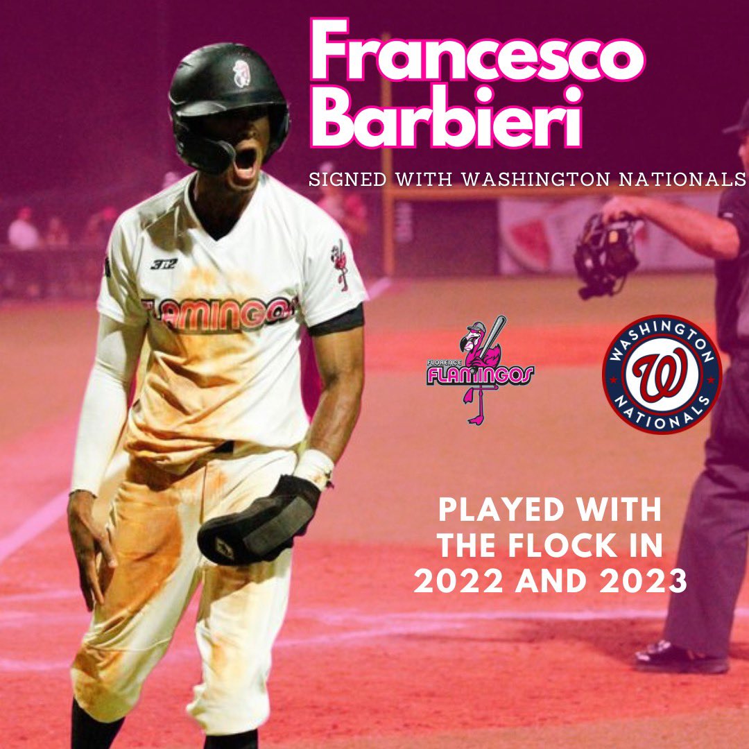 Florence Flamingos tweet media