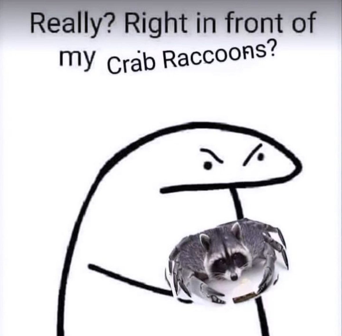 raccoonesthetic's tweet photo. https://t.co/I5Hwf4oQV5