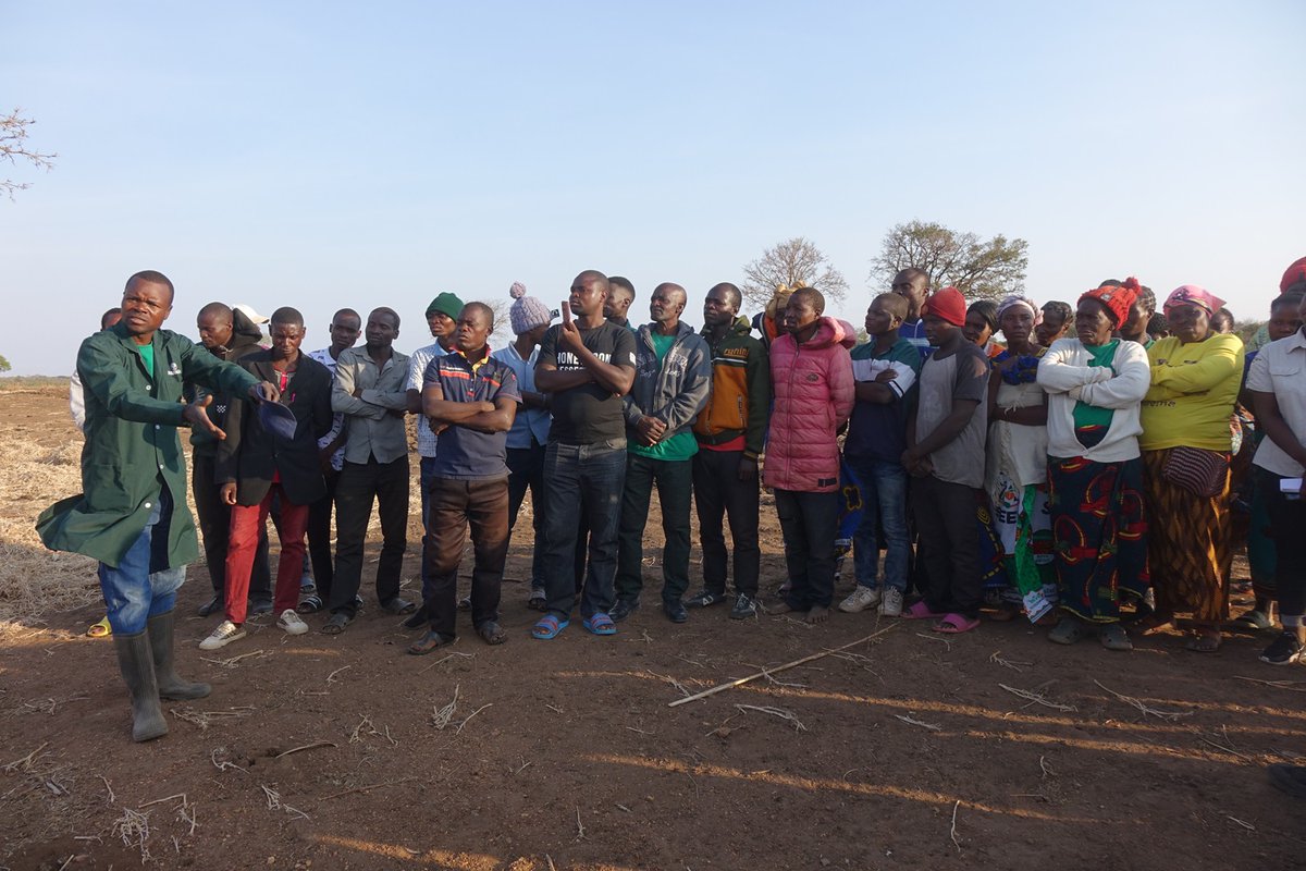WBG_ClimateEnv's tweet photo. Learn how a @WorldBank-funded climate program is helping local communities in #Zambia change the way they interact with their land and:
🌳 Preserve Forests
💪 Increase resilience
💰 Increase Incomes

Read: https://t.co/Erqgbv622W https://t.co/LgiZq0kP1M