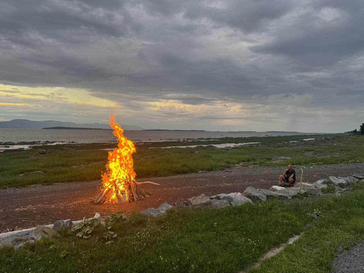 BrainMechanic tweet media