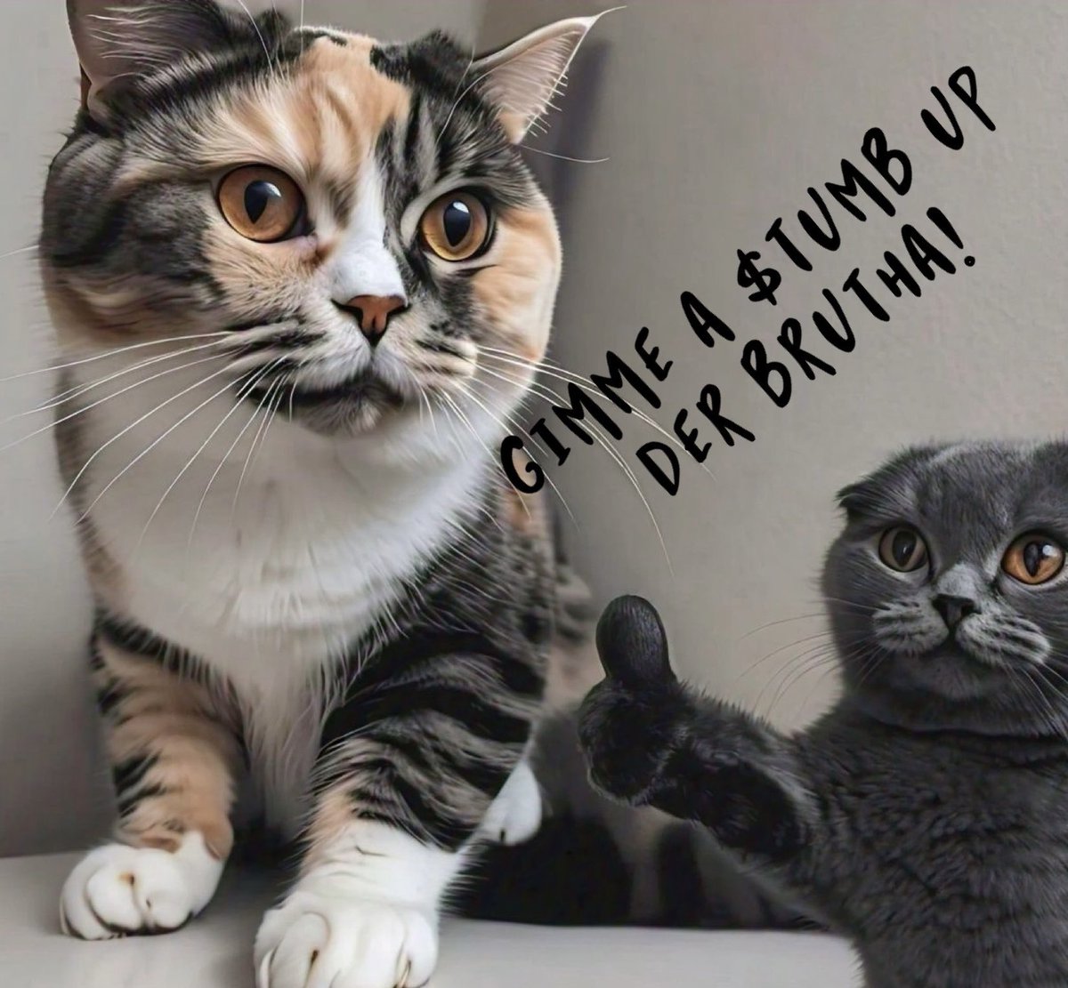 RedZone1314's tweet photo. @shahh We are.. 🔥🚀🫡😽👍🏼
Can you gimme a $TUMB up der Bruthaa? 🫶🏻❤️
@tumbcats 
#TUMBSUP 
Ca: 0xcf6b9e0a81ac6dc766a73618f994d89325a454b3 https://t.co/TtflkV8BbK