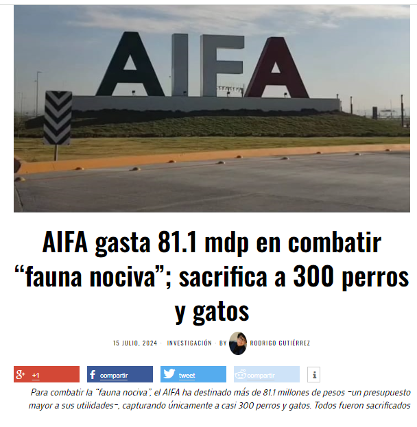 AIFA gastó más de 81 millones de pesos para sacrificar 287 perros y 17 gatos.

El Aeropuerto Internacional Felipe Ángeles ha contratado servicios de control de "fauna nociva" para controlar la presencia de aves que puedan afectar los vuelos.

Sin embargo, solo han capturado