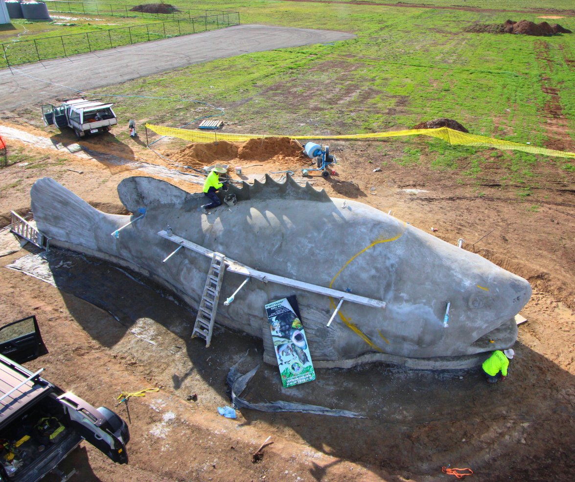 VicFisheries's tweet photo. Measuring in at a whopping 16 metres, the world's biggest Murray cod is getting ready for a coat of camo in the coming weeks at our Arcadia native fish hatchery - stay tuned!
#16metery #arcadia #murraycod https://t.co/y68vp8cM2n