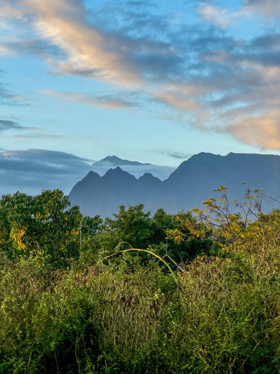 lepetrelblanc's tweet photo. Le Piton des Neiges (3070 m) émergeant des nuages et des remparts depuis Saint-Louis. https://t.co/lnZoNl90Sx