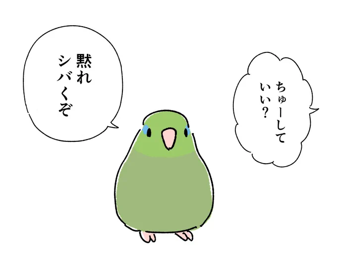 今日のインコと文鳥 