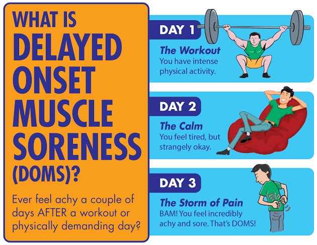 afrkml's tweet photo. Mungkin bagi yg baru memulai olahraga, keesokan harinya bakal ngerasain pegel2.

Itu namanya DOMS (Delayed onset muscle soreness) dan itu normal!

Soalnya otot dipake kerja keras kemaren, mengalami kerusakan kecil shgg terasa pegel, dan klo asupan proteinmu cukup, otot bakal pake buat ngebangun ulang jaringan2nya yg rusak

Lama2, otot bakal bertumbuh & makin gede 😆