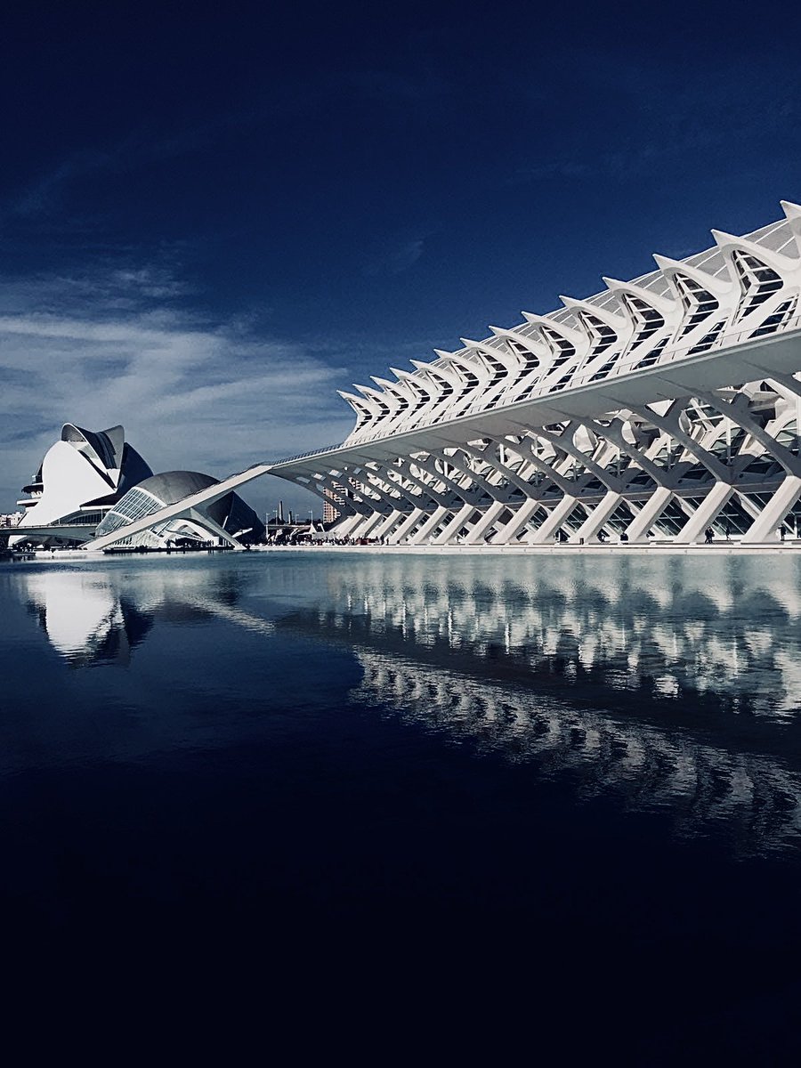 Burnasso tweet media