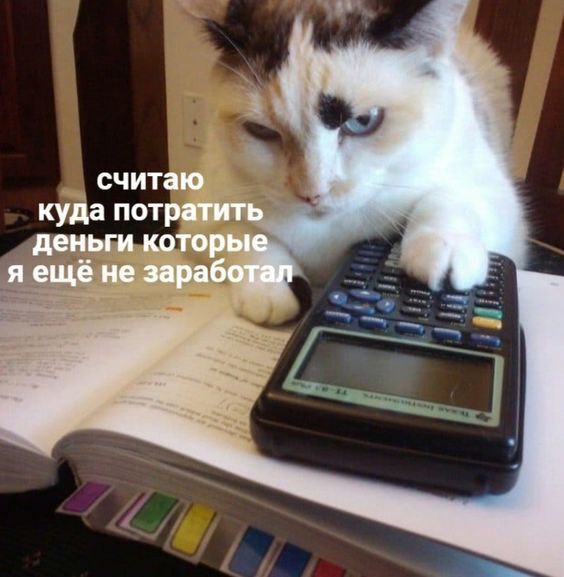 любимое занятие