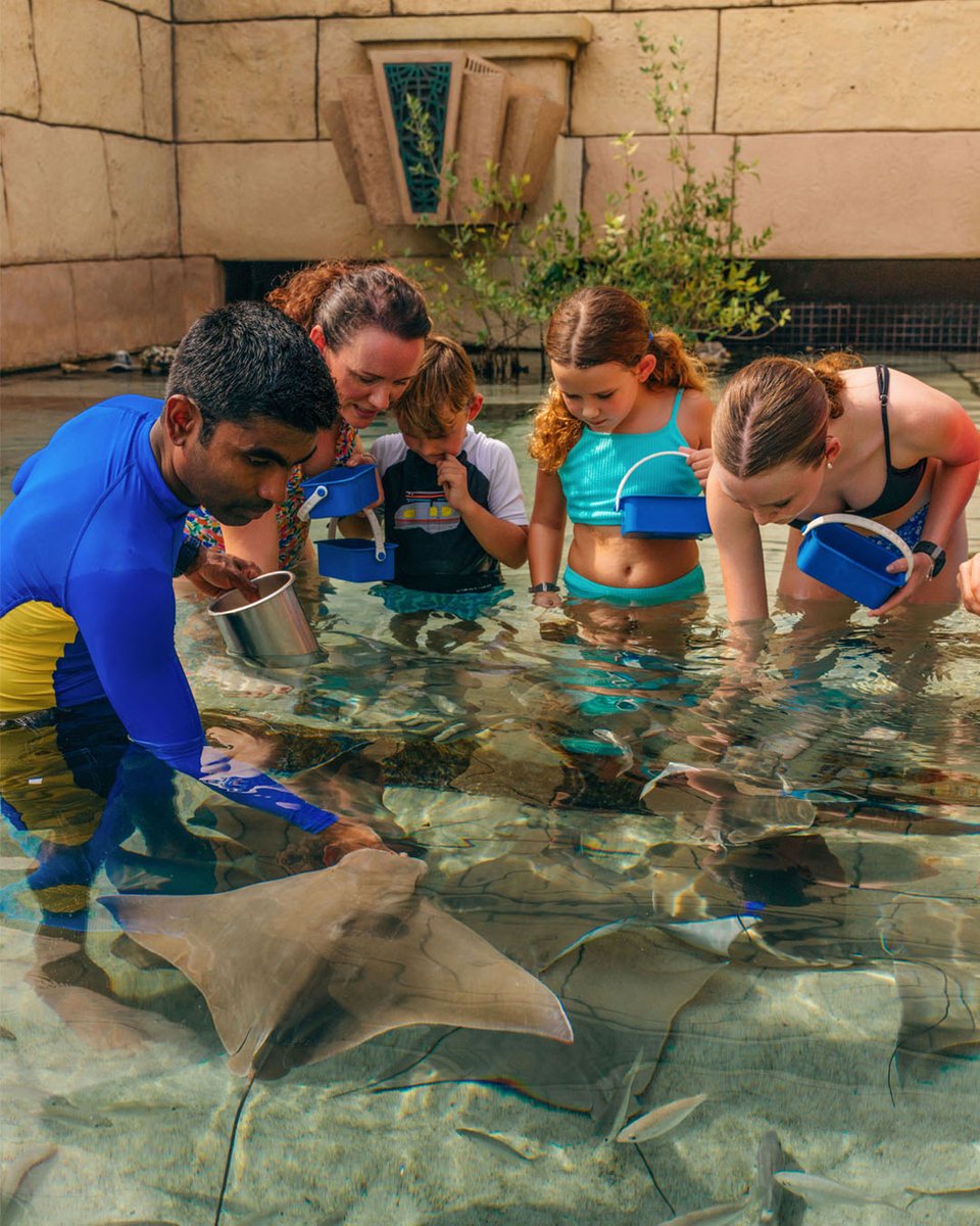 Bringing back one of the most beloved experiences amongst our guests. Enjoy the Ray feeding programme  (age 6 and above) and surround yourself with our eager stingrays. 

#AtlantisThePalm