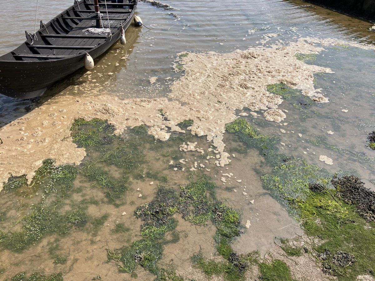 EnvAgencyAnglia tweet media