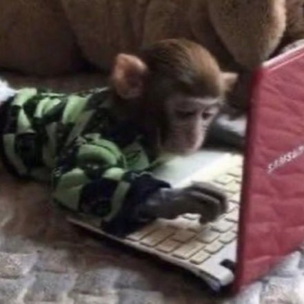 todas las girls ahorita entrando a tiktok y viendo las historias de nicole agnesi para saber si ya nació mikaela