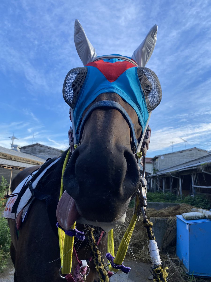 masa___0816's tweet photo. アシュラム笑笑 https://t.co/wetVvbUNZu