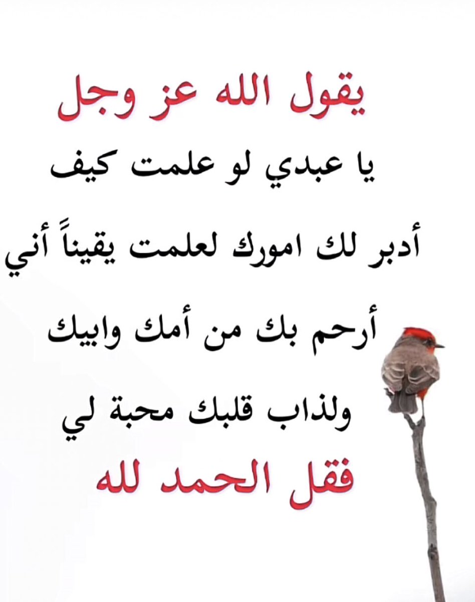 عـيـد بن علي بن سقيـان tweet media